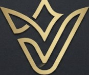 vip company Logo